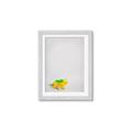 Picture of Toy Triceratops _GroupedProduct_Rectangle_Portrait_Mini_ _GroupedProduct_Rectangle_Portrait_Framed_Matted_