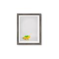 Picture of Toy Triceratops _GroupedProduct_Rectangle_Portrait_Mini_ _GroupedProduct_Rectangle_Portrait_Framed_Matted_