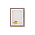Picture of Toy Triceratops _GroupedProduct_Rectangle_Portrait_Mini_ _GroupedProduct_Rectangle_Portrait_Framed_Matted_