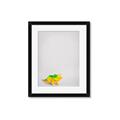 Picture of Toy Triceratops _GroupedProduct_Rectangle_Portrait_Mini_ _GroupedProduct_Rectangle_Portrait_Framed_Matted_