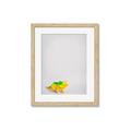 Picture of Toy Triceratops _GroupedProduct_Rectangle_Portrait_Mini_ _GroupedProduct_Rectangle_Portrait_Framed_Matted_