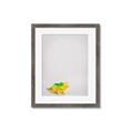 Picture of Toy Triceratops _GroupedProduct_Rectangle_Portrait_Mini_ _GroupedProduct_Rectangle_Portrait_Framed_Matted_