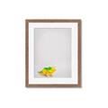 Picture of Toy Triceratops _GroupedProduct_Rectangle_Portrait_Mini_ _GroupedProduct_Rectangle_Portrait_Framed_Matted_