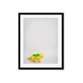 Picture of Toy Triceratops _GroupedProduct_Rectangle_Portrait_Mini_ _GroupedProduct_Rectangle_Portrait_Framed_Matted_
