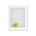 Picture of Toy Triceratops _GroupedProduct_Rectangle_Portrait_Mini_ _GroupedProduct_Rectangle_Portrait_Framed_Matted_