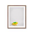 Picture of Toy Triceratops _GroupedProduct_Rectangle_Portrait_Mini_ _GroupedProduct_Rectangle_Portrait_Framed_Matted_