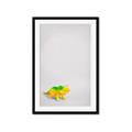 Picture of Toy Triceratops _GroupedProduct_Rectangle_Portrait_Mini_ _GroupedProduct_Rectangle_Portrait_Framed_Matted_