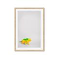 Picture of Toy Triceratops _GroupedProduct_Rectangle_Portrait_Mini_ _GroupedProduct_Rectangle_Portrait_Framed_Matted_
