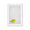 Picture of Toy Triceratops _GroupedProduct_Rectangle_Portrait_Mini_ _GroupedProduct_Rectangle_Portrait_Framed_Matted_