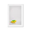 Picture of Toy Triceratops _GroupedProduct_Rectangle_Portrait_Mini_ _GroupedProduct_Rectangle_Portrait_Framed_Matted_