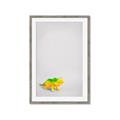 Picture of Toy Triceratops _GroupedProduct_Rectangle_Portrait_Mini_ _GroupedProduct_Rectangle_Portrait_Framed_Matted_