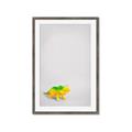 Picture of Toy Triceratops _GroupedProduct_Rectangle_Portrait_Mini_ _GroupedProduct_Rectangle_Portrait_Framed_Matted_