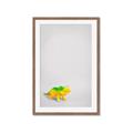 Picture of Toy Triceratops _GroupedProduct_Rectangle_Portrait_Mini_ _GroupedProduct_Rectangle_Portrait_Framed_Matted_