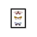 Picture of Pastel Butterflies I _GroupedProduct_Rectangle_Portrait_Mini_ _GroupedProduct_Rectangle_Portrait_Framed_Matted_
