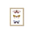 Picture of Pastel Butterflies I _GroupedProduct_Rectangle_Portrait_Mini_ _GroupedProduct_Rectangle_Portrait_Framed_Matted_