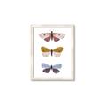 Picture of Pastel Butterflies I _GroupedProduct_Rectangle_Portrait_Mini_ _GroupedProduct_Rectangle_Portrait_Framed_Matted_