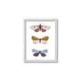 Picture of Pastel Butterflies I _GroupedProduct_Rectangle_Portrait_Mini_ _GroupedProduct_Rectangle_Portrait_Framed_Matted_