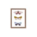 Picture of Pastel Butterflies I _GroupedProduct_Rectangle_Portrait_Mini_ _GroupedProduct_Rectangle_Portrait_Framed_Matted_