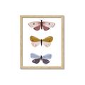 Picture of Pastel Butterflies I _GroupedProduct_Rectangle_Portrait_Mini_ _GroupedProduct_Rectangle_Portrait_Framed_Matted_