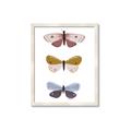 Picture of Pastel Butterflies I _GroupedProduct_Rectangle_Portrait_Mini_ _GroupedProduct_Rectangle_Portrait_Framed_Matted_