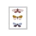 Picture of Pastel Butterflies I _GroupedProduct_Rectangle_Portrait_Mini_ _GroupedProduct_Rectangle_Portrait_Framed_Matted_