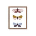 Picture of Pastel Butterflies I _GroupedProduct_Rectangle_Portrait_Mini_ _GroupedProduct_Rectangle_Portrait_Framed_Matted_