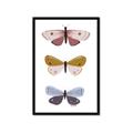 Picture of Pastel Butterflies I _GroupedProduct_Rectangle_Portrait_Mini_ _GroupedProduct_Rectangle_Portrait_Framed_Matted_
