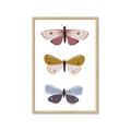 Picture of Pastel Butterflies I _GroupedProduct_Rectangle_Portrait_Mini_ _GroupedProduct_Rectangle_Portrait_Framed_Matted_
