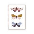 Picture of Pastel Butterflies I _GroupedProduct_Rectangle_Portrait_Mini_ _GroupedProduct_Rectangle_Portrait_Framed_Matted_