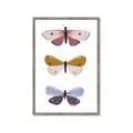 Picture of Pastel Butterflies I _GroupedProduct_Rectangle_Portrait_Mini_ _GroupedProduct_Rectangle_Portrait_Framed_Matted_