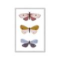 Picture of Pastel Butterflies I _GroupedProduct_Rectangle_Portrait_Mini_ _GroupedProduct_Rectangle_Portrait_Framed_Matted_