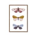 Picture of Pastel Butterflies I _GroupedProduct_Rectangle_Portrait_Mini_ _GroupedProduct_Rectangle_Portrait_Framed_Matted_