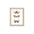 Picture of Pastel Butterflies I _GroupedProduct_Rectangle_Portrait_Mini_ _GroupedProduct_Rectangle_Portrait_Framed_Matted_