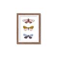 Picture of Pastel Butterflies I _GroupedProduct_Rectangle_Portrait_Mini_ _GroupedProduct_Rectangle_Portrait_Framed_Matted_