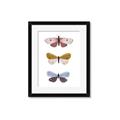 Picture of Pastel Butterflies I _GroupedProduct_Rectangle_Portrait_Mini_ _GroupedProduct_Rectangle_Portrait_Framed_Matted_