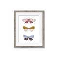 Picture of Pastel Butterflies I _GroupedProduct_Rectangle_Portrait_Mini_ _GroupedProduct_Rectangle_Portrait_Framed_Matted_