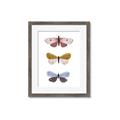 Picture of Pastel Butterflies I _GroupedProduct_Rectangle_Portrait_Mini_ _GroupedProduct_Rectangle_Portrait_Framed_Matted_