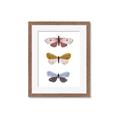 Picture of Pastel Butterflies I _GroupedProduct_Rectangle_Portrait_Mini_ _GroupedProduct_Rectangle_Portrait_Framed_Matted_