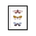Picture of Pastel Butterflies I _GroupedProduct_Rectangle_Portrait_Mini_ _GroupedProduct_Rectangle_Portrait_Framed_Matted_