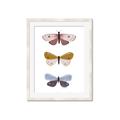 Picture of Pastel Butterflies I _GroupedProduct_Rectangle_Portrait_Mini_ _GroupedProduct_Rectangle_Portrait_Framed_Matted_