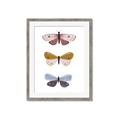 Picture of Pastel Butterflies I _GroupedProduct_Rectangle_Portrait_Mini_ _GroupedProduct_Rectangle_Portrait_Framed_Matted_