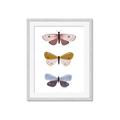 Picture of Pastel Butterflies I _GroupedProduct_Rectangle_Portrait_Mini_ _GroupedProduct_Rectangle_Portrait_Framed_Matted_