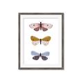 Picture of Pastel Butterflies I _GroupedProduct_Rectangle_Portrait_Mini_ _GroupedProduct_Rectangle_Portrait_Framed_Matted_