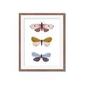 Picture of Pastel Butterflies I _GroupedProduct_Rectangle_Portrait_Mini_ _GroupedProduct_Rectangle_Portrait_Framed_Matted_