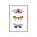 Picture of Pastel Butterflies I _GroupedProduct_Rectangle_Portrait_Mini_ _GroupedProduct_Rectangle_Portrait_Framed_Matted_