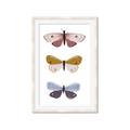 Picture of Pastel Butterflies I _GroupedProduct_Rectangle_Portrait_Mini_ _GroupedProduct_Rectangle_Portrait_Framed_Matted_