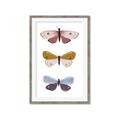 Picture of Pastel Butterflies I _GroupedProduct_Rectangle_Portrait_Mini_ _GroupedProduct_Rectangle_Portrait_Framed_Matted_