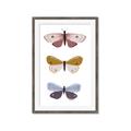 Picture of Pastel Butterflies I _GroupedProduct_Rectangle_Portrait_Mini_ _GroupedProduct_Rectangle_Portrait_Framed_Matted_