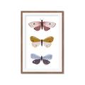 Picture of Pastel Butterflies I _GroupedProduct_Rectangle_Portrait_Mini_ _GroupedProduct_Rectangle_Portrait_Framed_Matted_