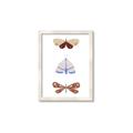 Picture of Pastel Butterflies II _GroupedProduct_Rectangle_Portrait_Mini_ _GroupedProduct_Rectangle_Portrait_Framed_Matted_
